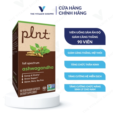 Thực phẩm bảo vệ sức khỏe ASHWAGANDHA