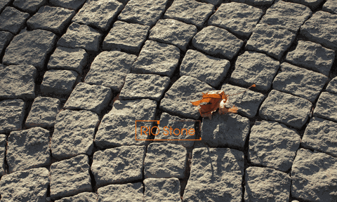 [Hạng mục] Đá sân vườn