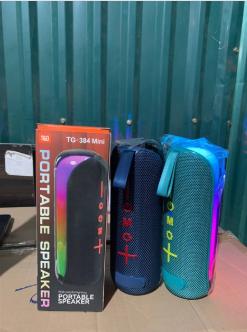 LOA BLUETOOTH TG384 MINI