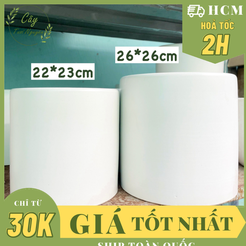 [CHỈ GIAO HOẢ TỐC] CHẬU TRỤ TRÁNG MEN TRẮNG Size 22CM, 26CM (1 chậu), tráng men, chậu cây trong nhà đẹp, Cây Tươi Nguyên