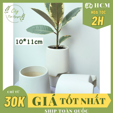 CHẬU TRÁNG MEN 3 CHÂN CAO 10*11CM, (1 chậu), chậu trồng cây, trang trí nội thất, Cây Tươi Nguyên CTN1498