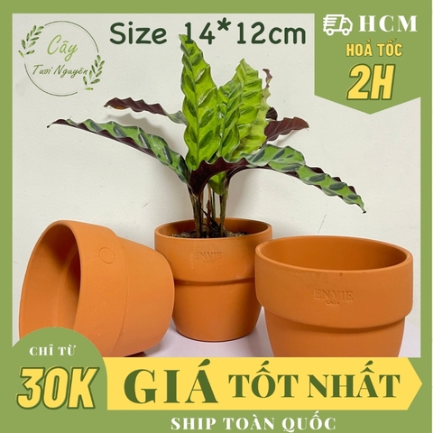 CHẬU ĐẤT NUNG TRÒN GỜ LỚN ENVIE (14*12cm) hàng Xuất khẩu, (1 chậu), chậu trồng cây, trang trí nội thất, Cây Tươi Nguyên