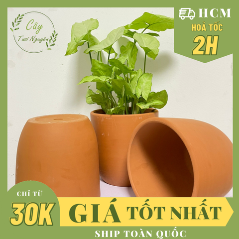 CHẬU TRỨNG ĐẤT NUNG (14*13.5cm) (1 chậu), gốm đất nung, chậu cây mini, sen đá, xương rồng Cây Tươi Nguyên CTN0970