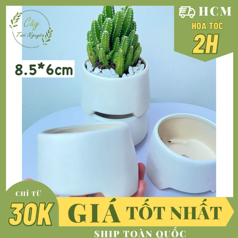 CHẬU TRÁNG MEN GẠT TÀN 8.5*6CM, (1 chậu),chậu trồng cây, trang trí nội thất, Cây Tươi Nguyên CTN1499