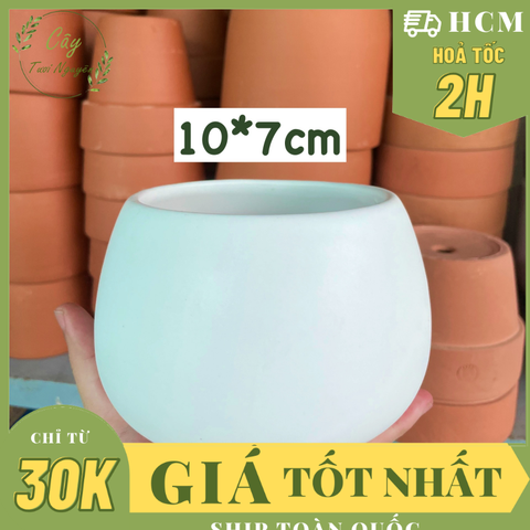 CHẬU HẠT DẺ TRÁNG MEN TRẮNG 10*7cm (1 chậu), tráng men, chậu cây trong nhà, bền đẹp, Cây Tươi Nguyên CTN1458