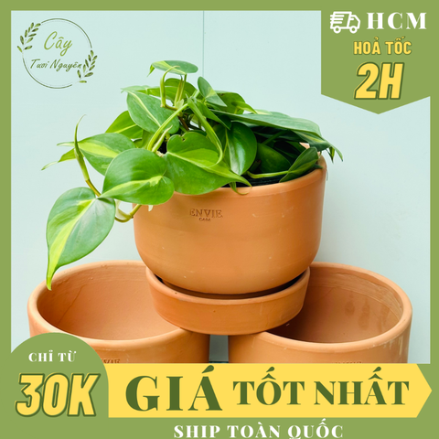 CHẬU ĐẤT NUNG ENVIE KÈM ĐĨA 16*12CM, (1 chậu),chậu trồng cây, trang trí nội thất, Cây Tươi Nguyên CTN1521
