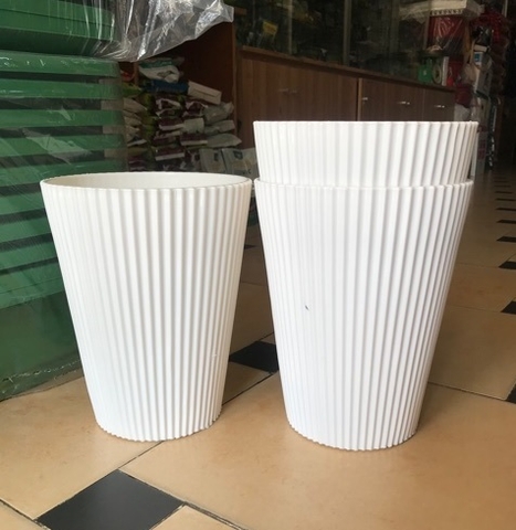 CHẬU NHỰA LỚN SỌC DỌC