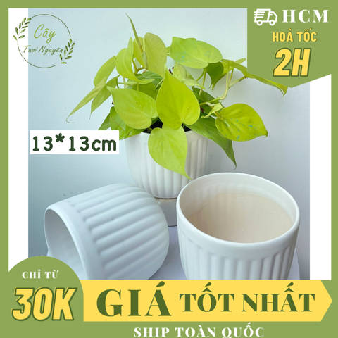CHẬU TRÁNG MEN MOCHI KẺ 13*13CM, (1 chậu),chậu trồng cây, trang trí nội thất, Cây Tươi Nguyên CTN1495