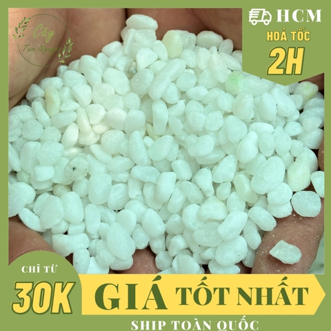 SỎI TRẮNG, rải gốc cây cảnh, trang trí bể cá, lót nền, tăng tính thẩm mĩ, giảm bắn nước khi tưới