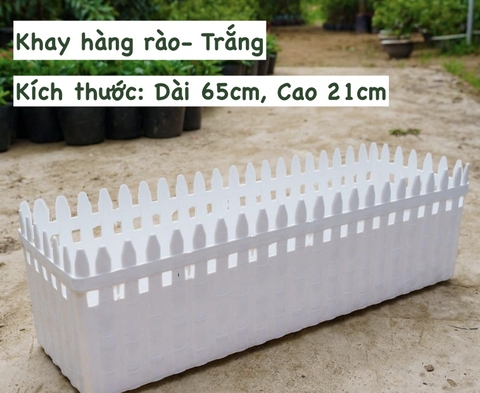 CHẬU NHỰA DÀI HÀNG RÀO DÀI*CAO (65*21CM)