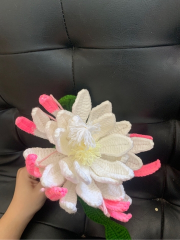 LUX FLOWER BRANCHES - EPIPHYLLUM