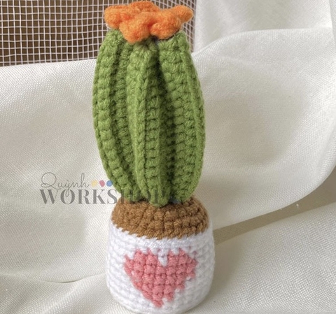 FLOWER POTS HEART CACTUS-long