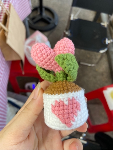 FLOWER POTS HEART CACTUS-short