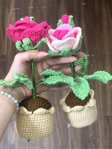 FLOWER POTS 3 MIXED COLOUR SMALL CHRYSANTHEMUM POT