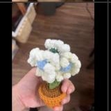 FLOWER POTS 3 DAISY FLOWER POT - Blue