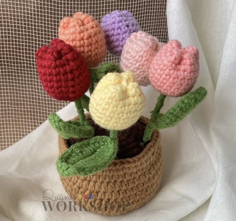 FLOWER POTS 6 MIXED COLOUR TULIP POT