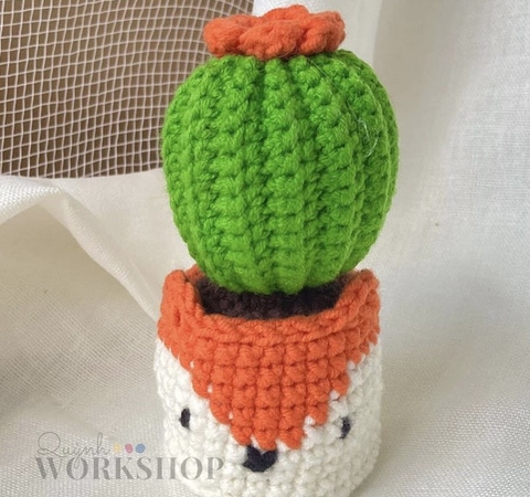 FLOWER POTS FOX CACTUS