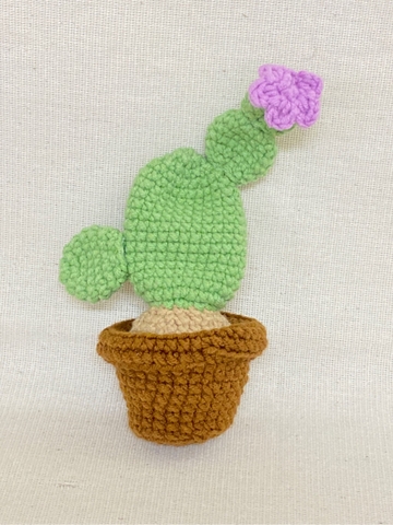 FLOWER POTS CACTUS 12