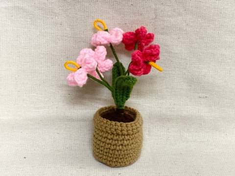 FLOWER POTS LOTUS POT