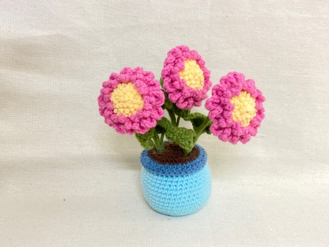 FLOWER POTS 6 MIXED COLOUR ROSE POT-light dark pink