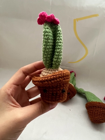 FLOWER POTS CACTUS 11