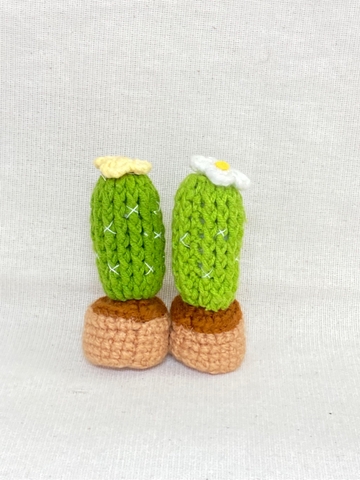 FLOWER POTS CACTUS 3