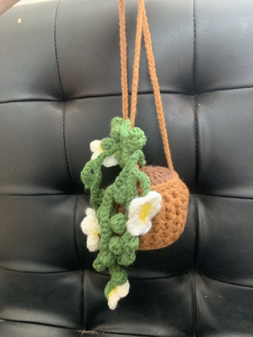 FLOWER POTS - MIX COLOR DAISY