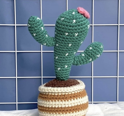 FLOWER POTS BIG CACTUS