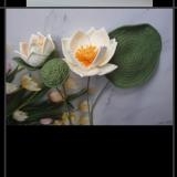 FLOWER BRANCHES LOTUS