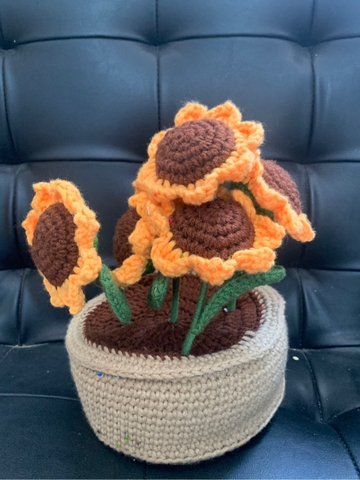 FLOWER POTS 6 CHRYSANTHEMUM POT