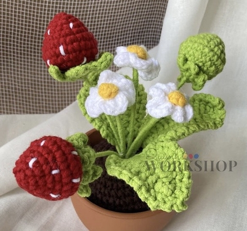 FLOWER POTS STRAWBERRY POT-Dark Brown