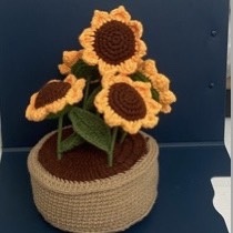 FLOWER POTS 2 - LARGE 5 SUNFLOWERS POT