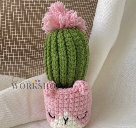 FLOWER POTS PINK CATUS