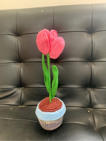 FLOWER POTS MIXED FLOWER POT