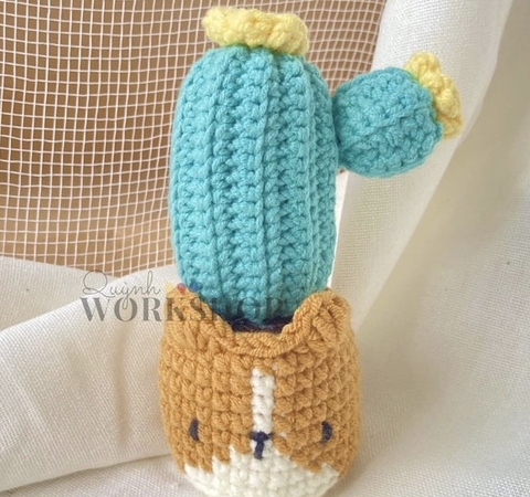 FLOWER POTS BEAR CACTUS