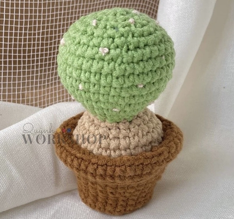 FLOWER POTS CACTUS 7