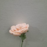 FLOWER BRANCHES MEDIUM ROSE-cream