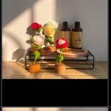 FLOWER POTS 1 ROSE POT - white