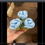 FLOWER POTS 3 ROSE  FLOWER POT - Yellow