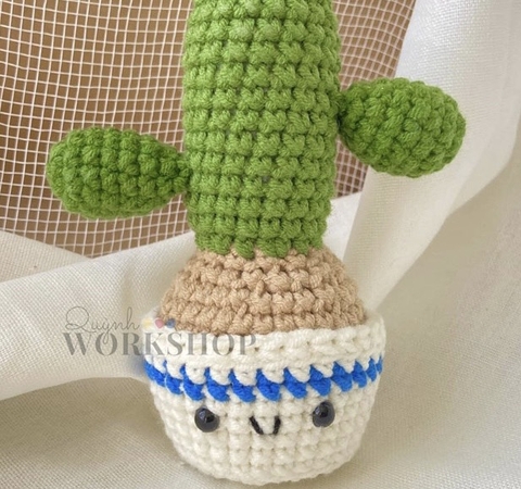 FLOWER POTS CACTUS 8