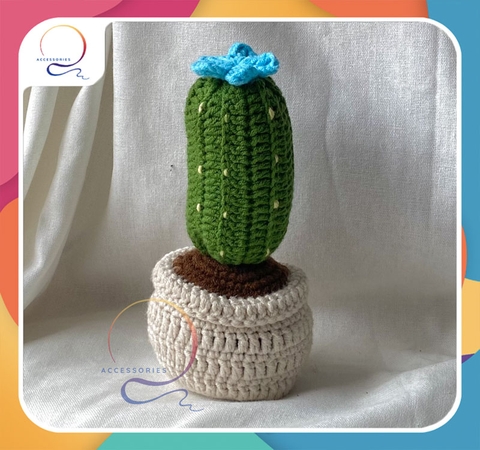 CACTUS LONG SUCCULENT-blue