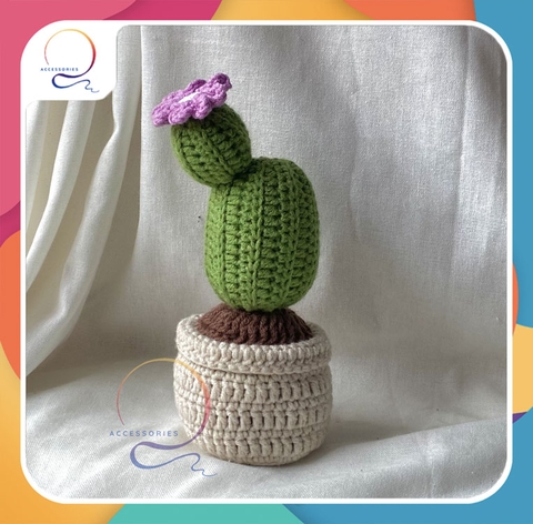 CACTUS 1 HORN SUCCULENT-purple