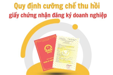 Quy định cưỡng chế thu hồi giấy chứng nhận đăng ký doanh nghiệp