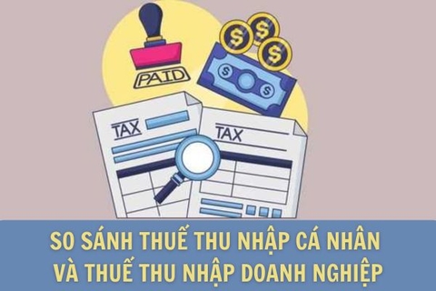 So sánh thuế thu nhập cá nhân và thuế thu nhập doanh nghiệp - Những điểm giống và khác cần biết