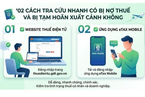 02 Cách Tra Cứu Nhanh Có Bị Nợ Thuế Và Bị Tạm Hoãn Xuất Cảnh Không