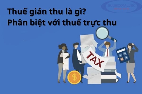 Thuế gián thu là gì? Phân biệt giữa thuế gián thu và trực thu