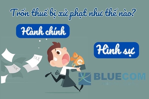 Hành vi trốn thuế là gì? Trốn thuế bao nhiêu thì bị xử lý hình sự