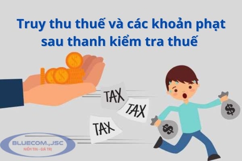 Truy thu thuế và các khoản phạt sau thanh kiểm tra thuế tại doanh nghiệp