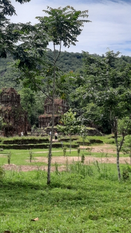 my son sanctuary