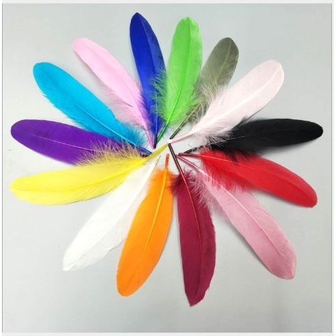 lông vũ cứng 15-20cm nhiều màu